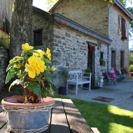 Forest Hideaway, Baillamont