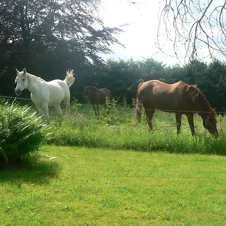 Forest Hideaway, Baillamont Bièvre